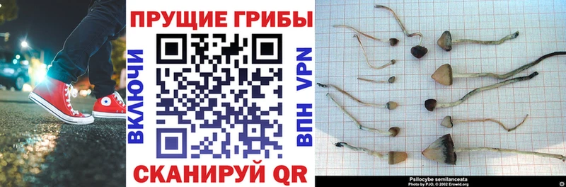 Псилоцибиновые грибы MAGIC MUSHROOMS  Кимовск 